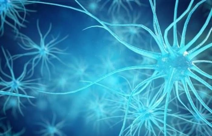 des chercheurs identifient les gènes responsables de la mort des neurones