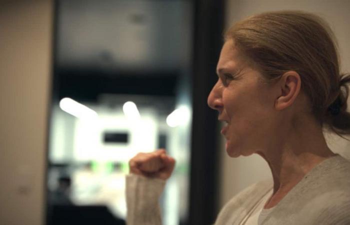 Diffusé ce mardi sur Prime Vidéo : 6 moments forts du documentaire « Je suis : Céline Dion »