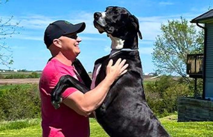Le plus gros chien du monde meurt peu de temps après avoir battu un record