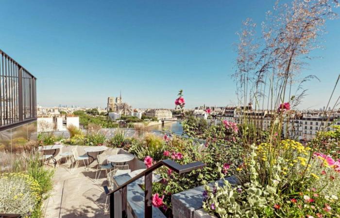10 nouvelles terrasses pour l’été à Paris… ou pas loin ! – .