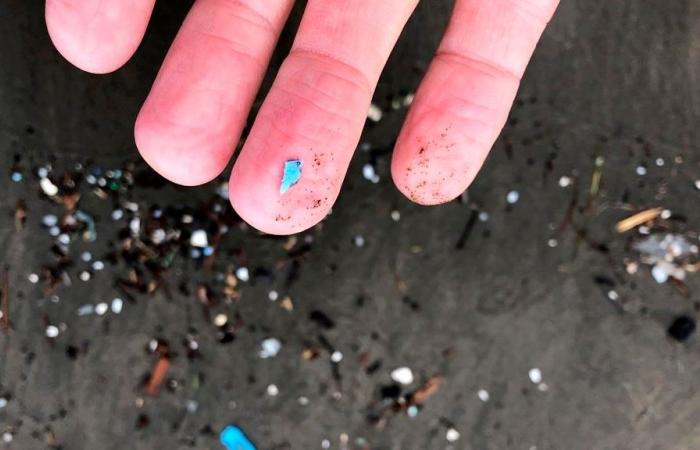 Les microplastiques pourraient augmenter le risque de maladies non transmissibles