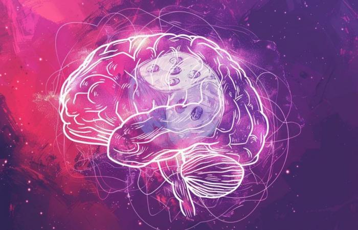 Ces chercheurs utilisent des jeux pour comprendre le fonctionnement du cerveau