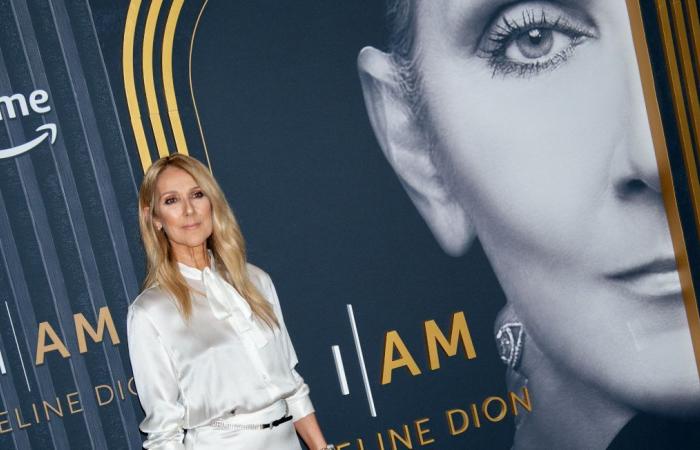 Les fans de Céline Dion sont dévastés par la souffrance de leur idole
