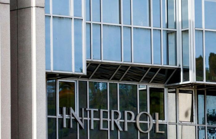4 000 arrestations et 257 millions de dollars saisis dans 61 pays, annonce Interpol