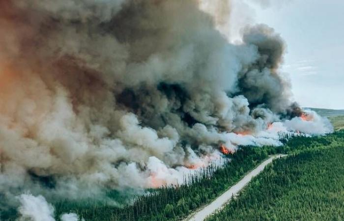 Les incendies de forêt de 2023 ont libéré plus de CO₂ dans l’atmosphère que les avions – .