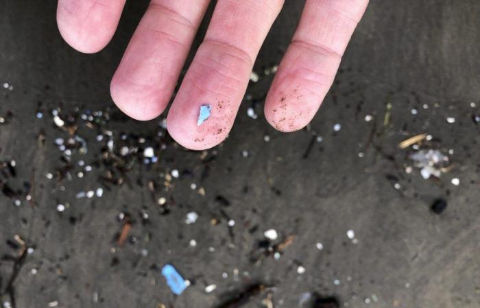 Les microplastiques pourraient augmenter le risque de maladies non transmissibles – .