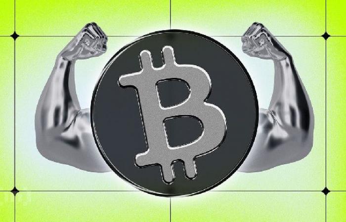 4 indicateurs clés sur la chaîne pour déterminer si le prix du Bitcoin a atteint son niveau le plus bas – .