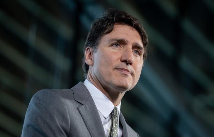 Le caucus libéral uni derrière Trudeau, déclare le coprésident de la campagne – .
