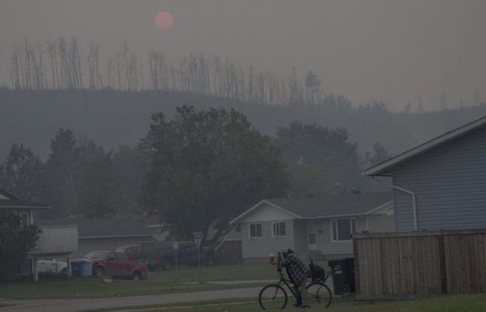 Les incendies de forêt de 2023 ont libéré plus de CO2 dans l’atmosphère que les avions – .