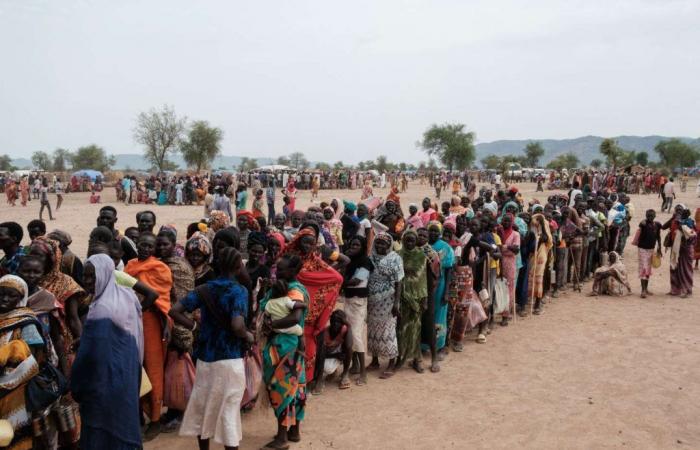 Au Soudan, plus de la moitié de la population est confrontée à une « insécurité alimentaire aiguë »