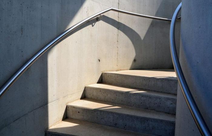 Un robot employé à la mairie « se suicide » en se jetant d’un escalier – .