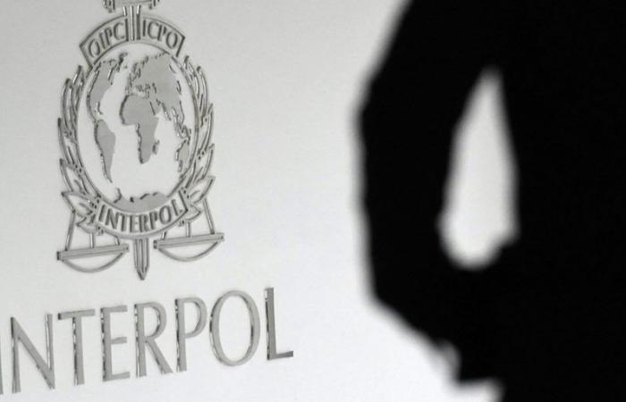 4 000 arrestations et 257 millions de dollars saisis dans 61 pays, annonce Interpol – .