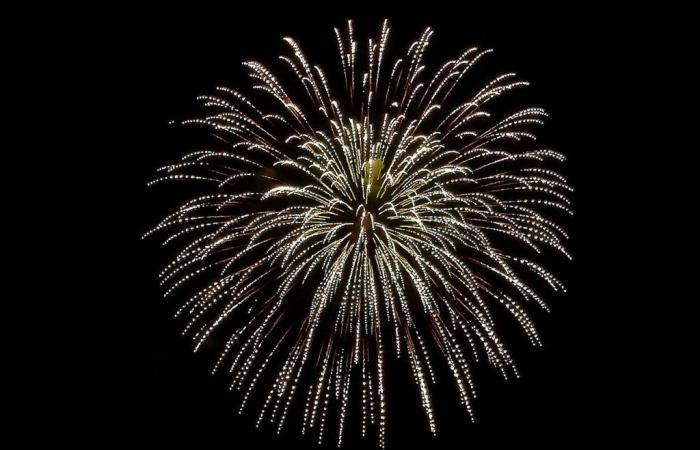 Fête nationale 14 juillet 2024 à Clichy-sous-Bois (93), pique-nique & feu d’artifice à Clichy Plage