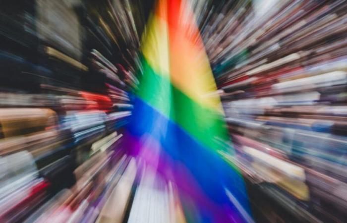 Première marche des fiertés LGBT annulée à Fort-de-France
