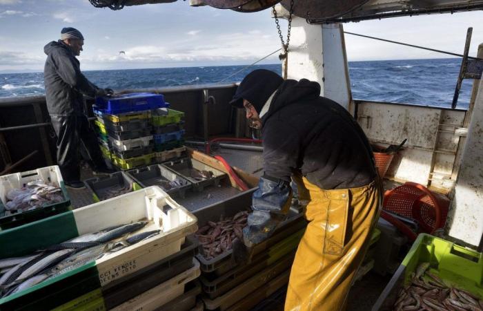 Les pêcheurs recherchent un soutien politique pour sauver l’industrie.