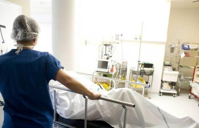 L’élève infirmière de Châteaubriant conteste l’exclusion pour plagiat