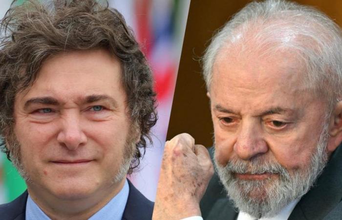 Javier Milei ne s’excusera pas auprès de Lula et en ajoutera une couche supplémentaire – .
