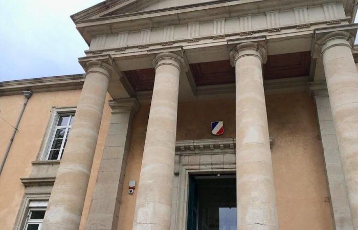 Quatre ans de prison pour l’auteur du grand incendie de juillet 2022 dans le sud de l’Ardèche – .