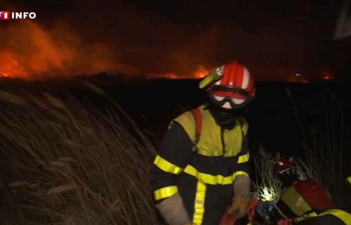 Pyrénées-Orientales firefighters on alert against fires – .