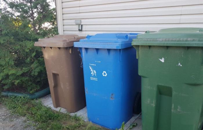 Une collecte avec trois poubelles est organisée à Sept-Rivières