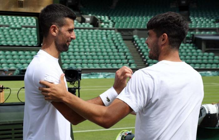 Djokovic de retour, Sinner et Alcaraz en rabat-joie, Murray pour le dernier – .