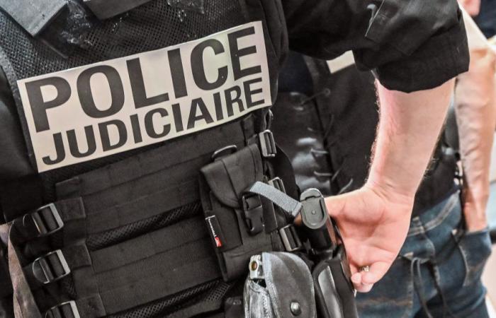 Dix individus amenés à Nice après une vague d’interpellations