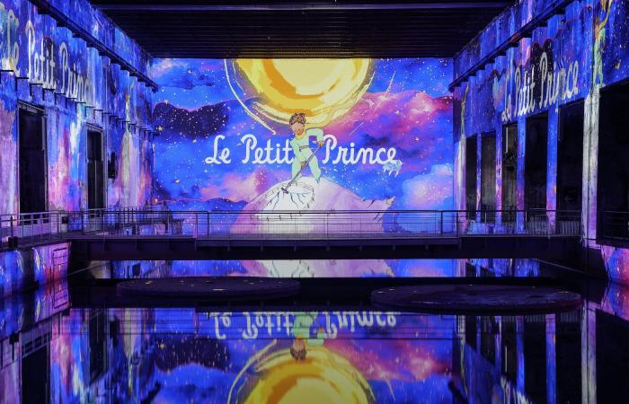 Une sublime exposition sur le Petit Prince arrive aux Bassins des Lumières – .