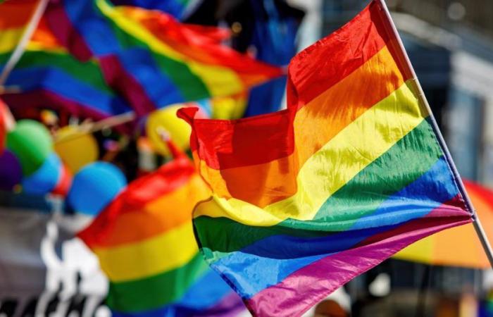 la première marche des fiertés LGBT annulée après un désaccord avec la mairie de Fort-de-France