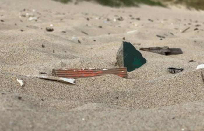 La plage de Blériot nettoyée de ses déchets pour l’été – .