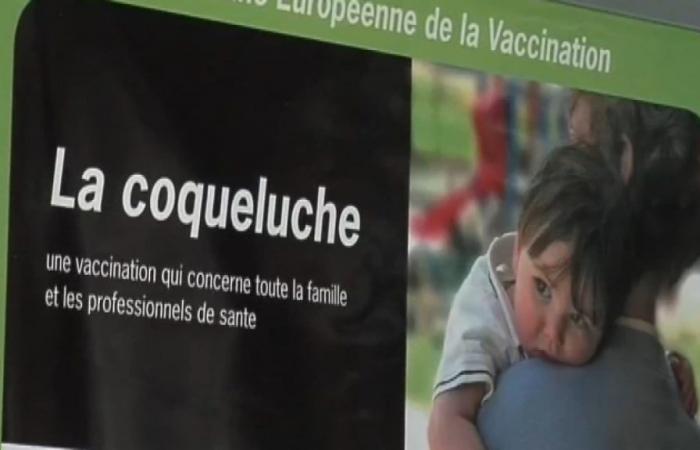 13 nourrissons sont décédés en 2024, « la population la plus fragile » selon Santé publique France – .