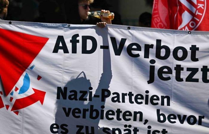 Des manifestants protestent contre le congrès du parti AfD