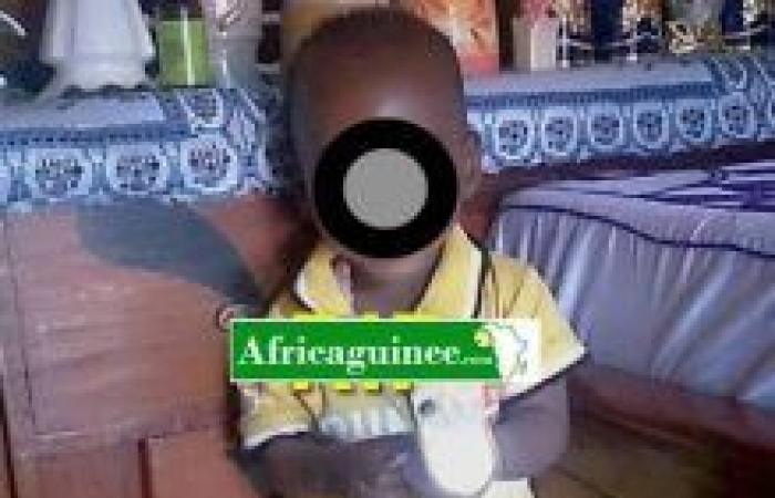 Le mystère se dissipe sur le meurtre du petit Thierno Ibrahima Bah – Africa Guinee – .