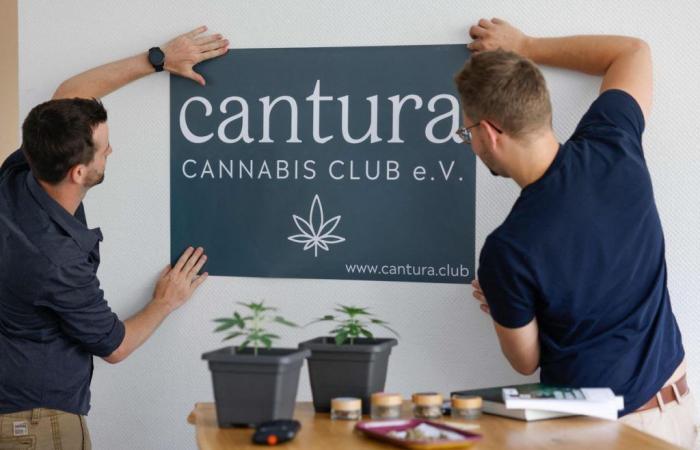L’Allemagne ouvre ses « clubs de cannabis » à partir de lundi – .