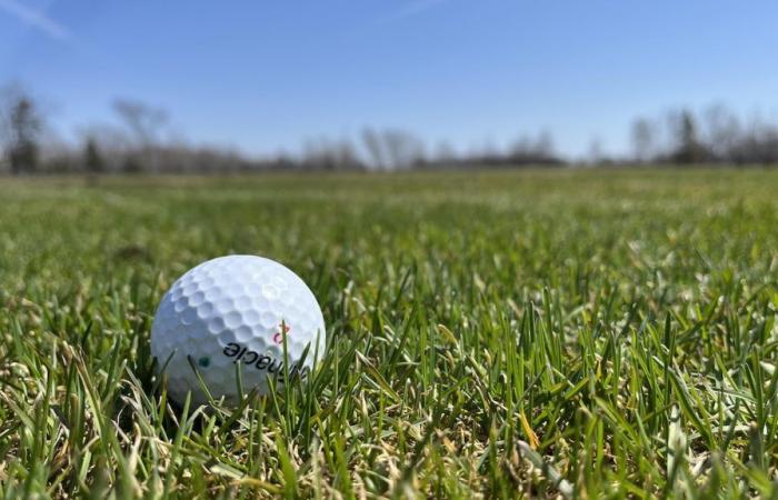 Gatineau, comme Montréal, devrait-elle interdire les pesticides sur ses terrains de golf ? – .