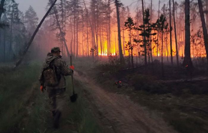 Les feux de forêt arctiques qui ravagent l’Extrême-Nord de la Russie libèrent des mégatonnes de carbone.
