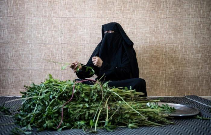 A Raqqa, la délicate réinsertion des anciennes « femmes de Daesh »