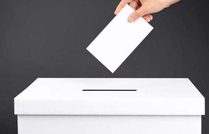 ouverture de bureaux de vote à l’étranger, à Saint-Pierre et Miquelon – .