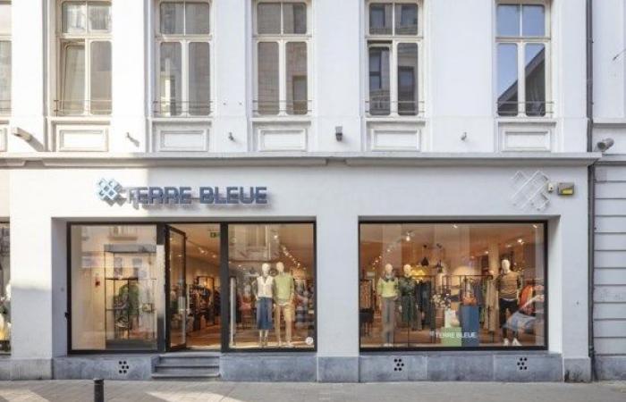 Parent company of Terre Bleue, Gigue and Zilton bankrupt – .