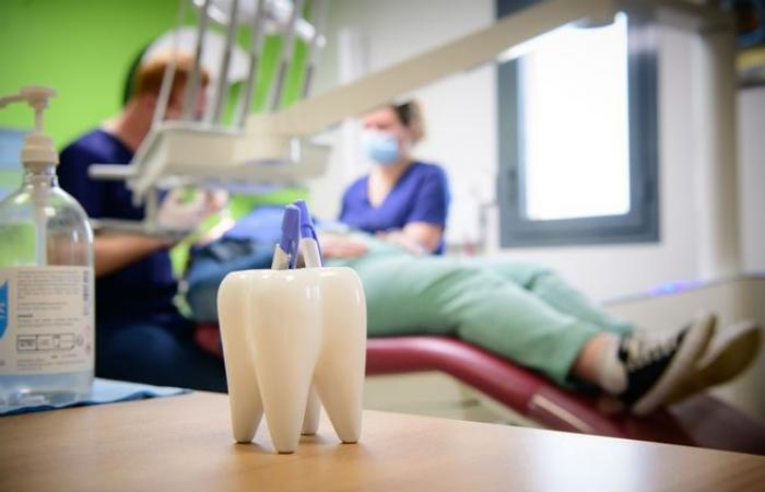Comment attirer de nouveaux dentistes dans les zones défavorisées de Nouvelle-Aquitaine ? – .