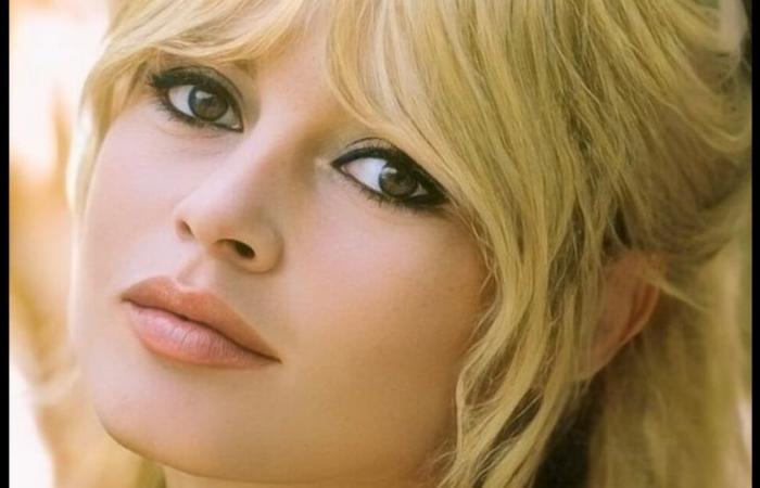 « Ce sera impossible ! » Brigitte Bardot révèle sa dernière volonté et elle ne sera sûrement pas respectée – .