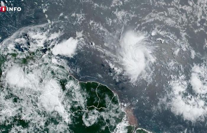 La tempête Beryl menace de se transformer en ouragan avant de toucher les Antilles