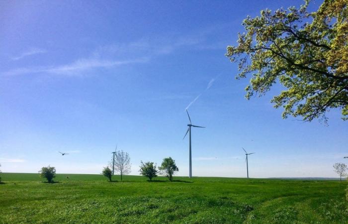 une taxe sur l’utilisation de l’énergie éolienne pour les sociétés d’exploitation