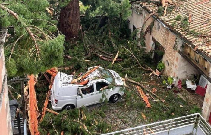 The storm causes major damage in Deux-Sèvres • Niort info – .