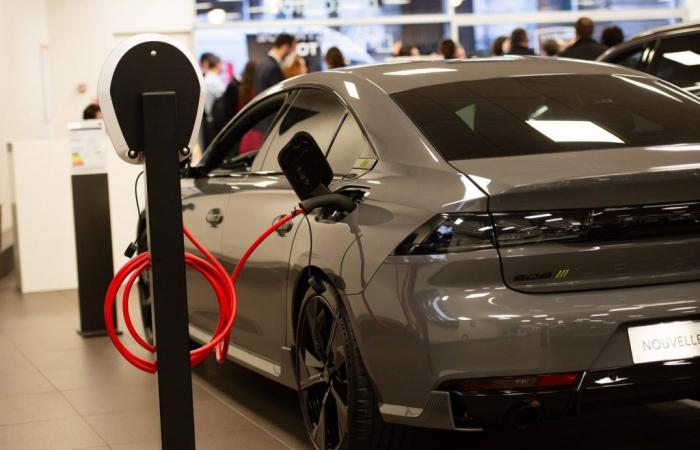 Les ventes de voitures électriques s’effondrent en Europe, voici ce qui les remplace – .