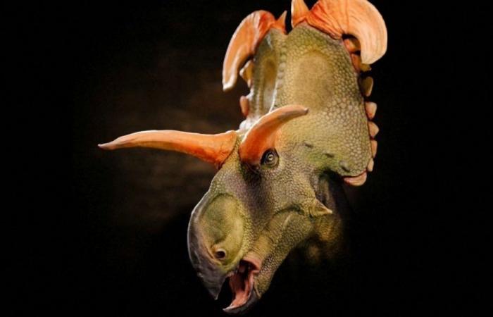 De nouvelles espèces de dinosaures exposées au Danemark