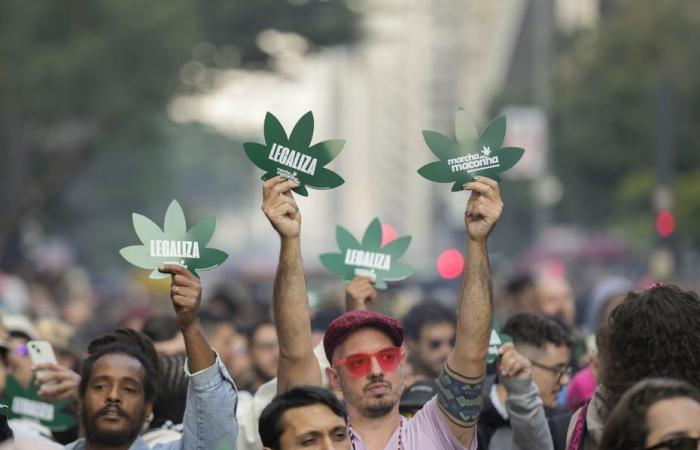 La possession de cannabis dépénalisée au Brésil : les nouvelles règles du jeu