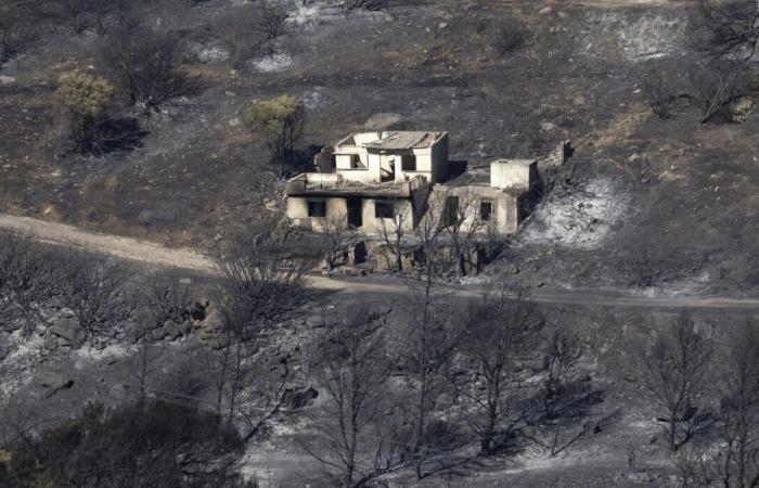 Deux incendies de forêt majeurs dans la région d’Athènes, un été difficile en perspective – .