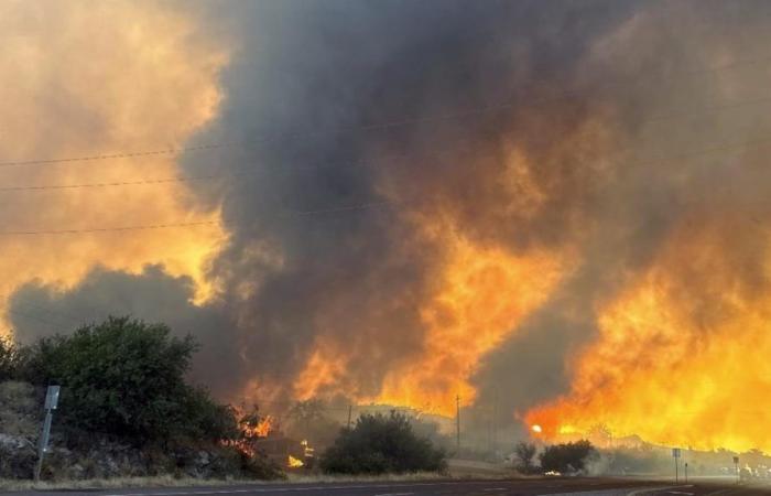 Les incendies de forêt en Arizona progressent après avoir forcé des évacuations – .