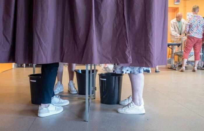 Voters Face Their Choice in Loire-Atlantique – .