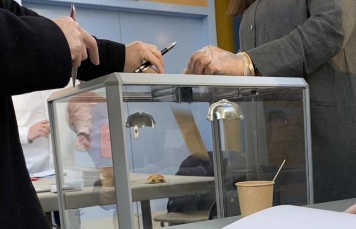 Élections législatives de 2024. Résultats dans la 3e circonscription des Pyrénées-Orientales